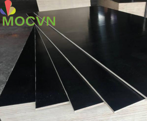 ván ép phủ phim hải phòng