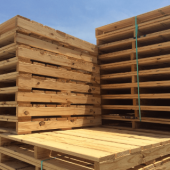 kích thước pallet gỗ