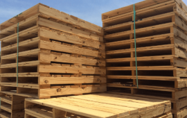 kích thước pallet gỗ