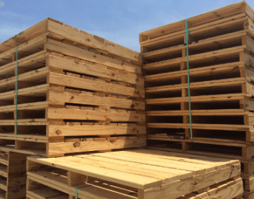 kích thước pallet gỗ