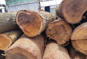 quy trình sản xuất pallet gỗ