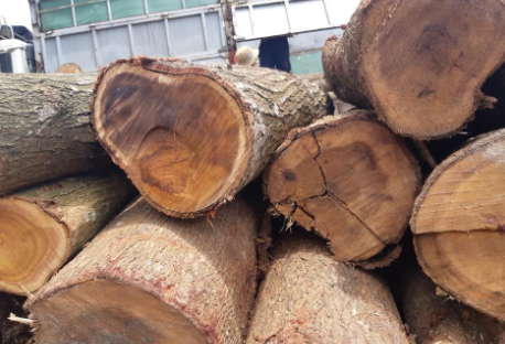 công nghệ sản xuất gỗ ván ép